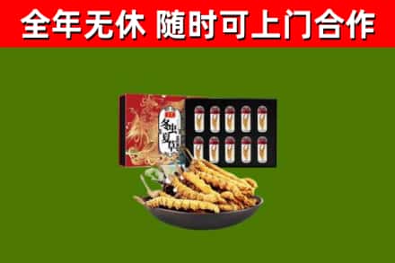 南县回收冬虫夏草价格